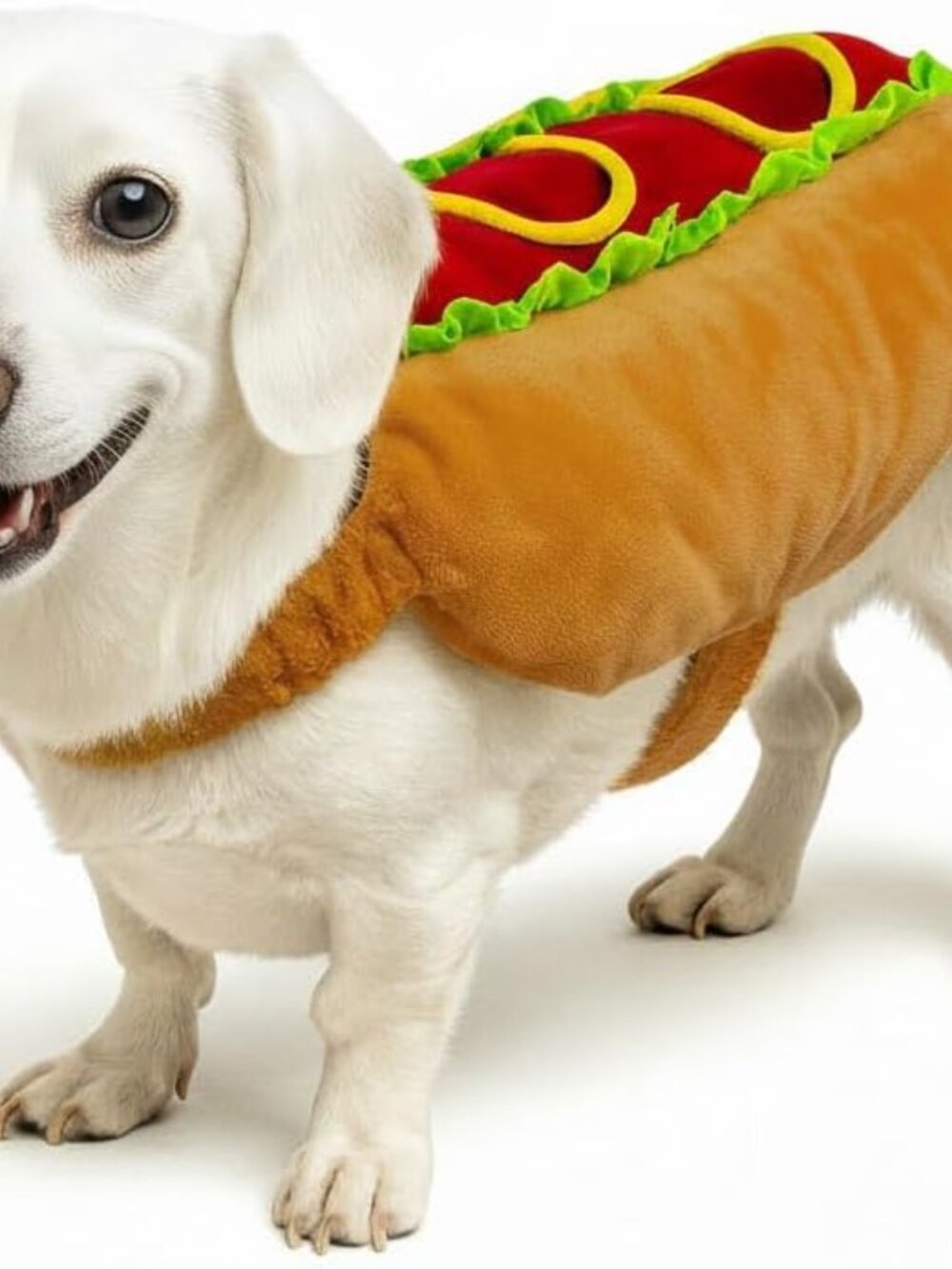 Hot Dog Pet Costume for small to medium dogs